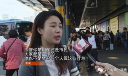 海关爆料女星是谁呀视频,知名女星身份曝光，视频引发热议