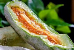 所有吃瓜网红,揭秘网红们的吃瓜盛宴