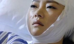 在线观看国外撸视频,在线观看背后的文化现象与伦理争议