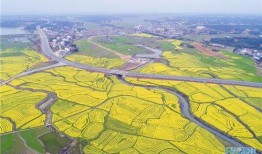 汨罗最新爆料消息新闻,揭秘事件背后惊人真相