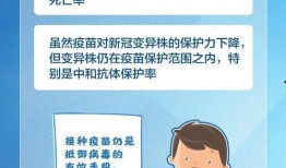 张口最新爆料消息今天疫情,疫情最新动态揭秘，揭秘病毒传播真相！”