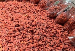 枸杞硫磺爆料视频大全最新