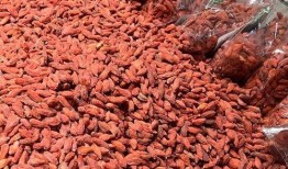 枸杞硫磺爆料视频大全最新