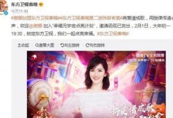 谢娜爆料录音视频播放下载,揭秘娱乐圈幕后故事