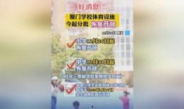 厦门体育爆料最新消息,独家爆料揭示赛场幕后故事