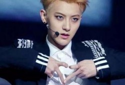 娱乐圈大爆料黄子韬是谁,娱乐圈大爆料背后的风云人物