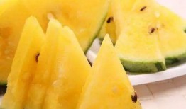 24小时吃瓜黑料免费,揭秘娱乐圈幕后真相