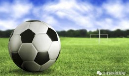 波兰足球爆料视频大全,揭秘精彩瞬间与幕后故事