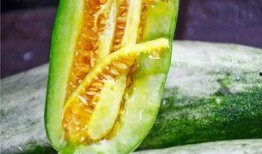 网红吃瓜的视频免费看