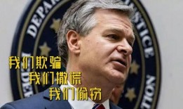 fbi局长最新爆料消息,揭秘神秘网络犯罪团伙内幕