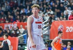 周琦爆料新疆队视频回放,视频回放揭示关键瞬间