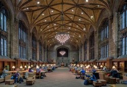 芝加哥大学最新爆料