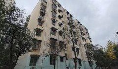 绵阳最新凯厦砍树爆料新闻,真相与争议交织的环保风波