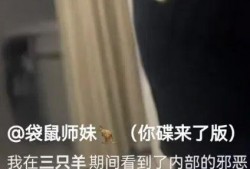 三只羊被爆料视频,背后真相令人震惊