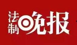 新闻爆料小英,揭秘事件背后惊人真相