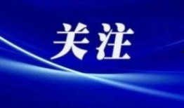 盐城今日爆料新闻视频,视频揭露惊人真相，速看！