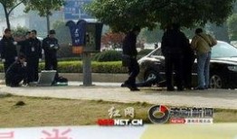 长沙记者爆料案件最新,惊天大案背后真相曝光，案情反转引关注