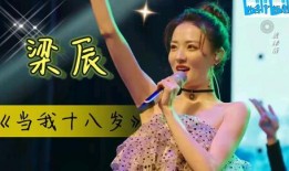 过气爆料梁辰视频播放,真相与争议再引热议