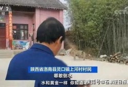 户外大鹏被爆料视频造假,揭秘真相背后的疑云