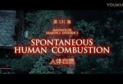 伦理国产集合在线观看,在线观看盛宴来袭