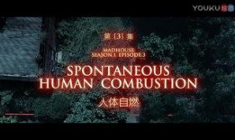 伦理国产集合在线观看,在线观看盛宴来袭