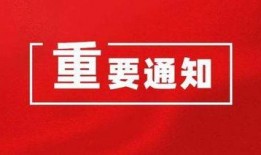 财经爆料文字素材视频,视频素材揭示最新财经动态