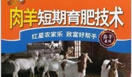 育肥羊爆料视频最新,揭秘养殖场惊人内幕