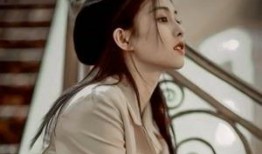 明星白鹿爆料视频大全集,揭秘明星幕后故事