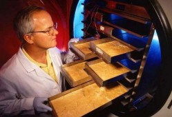 武汉冰葬最新爆料,真相与争议交织