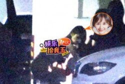 娱乐八卦爆料王子文,神秘男友身份引网友热议