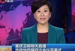 重庆电视台直播在线观看,实时捕捉山城魅力瞬间