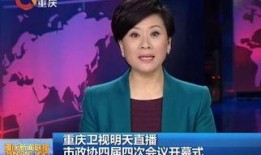 重庆电视台直播在线观看,实时捕捉山城魅力瞬间