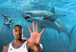 洛杉矶鲨鱼爆料视频,揭秘海洋深处的神秘世界