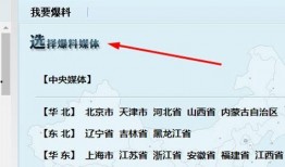 搜索新闻爆料教程网站