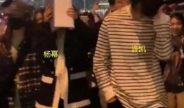 娱乐圈最新爆料文案,揭秘明星背后的惊人真相！