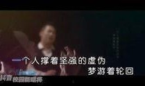 娱乐爆料搞笑视频合集在线观看,在线观看乐翻天