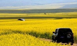 春风自驾游爆料视频大全,全景式视频大全带你畅游四季美景