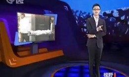 爆料纪实梁辰后续视频下载,纪实爆料背后的真相与悬念