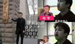 爆料小大人视频网站,揭秘视频网站背后的秘密与影响