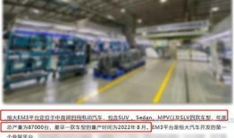 恒大现场爆料视频,揭秘项目真相与争议