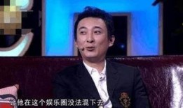 王思聪爆料视频,娱乐圈背后的惊人真相