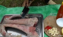 快手网红吃瓜群最新动态