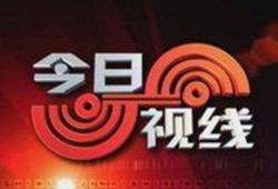 今日个线爆料电话,今日热线爆料电话背后的惊人真相