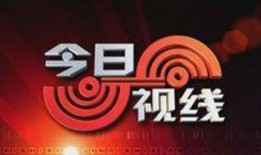 今日个线爆料电话,今日热线爆料电话背后的惊人真相