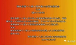 滨州市最新爆料消息今天,揭秘今日热点事件背后的真相