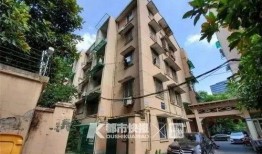 九龙小区爆料视频最新版,惊人真相曝光！