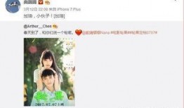 微博陈飞宇爆料最新消息,最新消息引发热议，揭秘娱乐圈幕后真相！