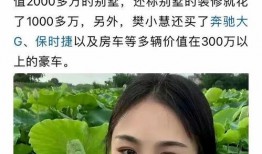 樊小慧 爆料视频大全集,揭秘背后真相与情感纠葛