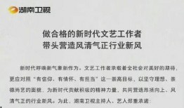 娱乐圈吃瓜报告,揭秘明星幕后故事与热点事件