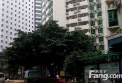 流精花园在线观看,沉浸式在线观影之旅